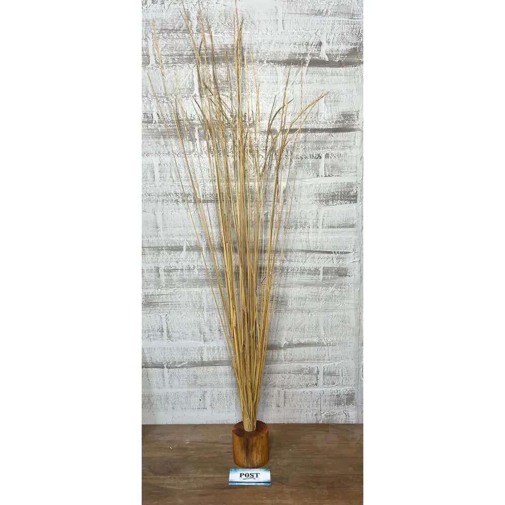 Boho Dried Grass Decor